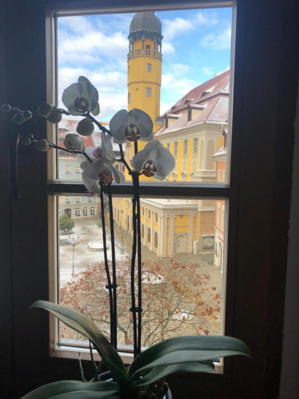 Zum Handtuch Bautzen Exteriör bild